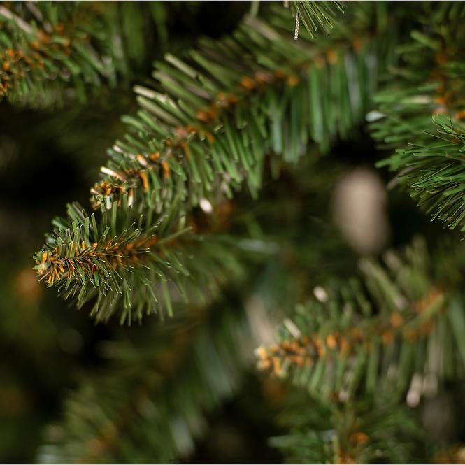 Karácsonyfa, lucfenyő  nat 220 cm.