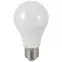 Izzó LED TR A60 12W 6500K 1050LM E27,2