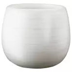 Csésze Bona White