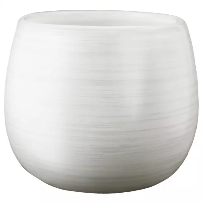 Csésze Bona White