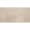 Csempe tempre Brown 30,8/60,8