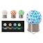 Szolár megvilágítás GLE728298 LED - M + GLASS, D:  6cm,,4