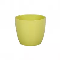 Primus Aromat borító 11cm/sárga