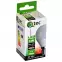 Izzó LED QTEC P45 5W E14 4200K,3