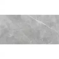 Csempe Gres Ambrosio Gris 119,7/59,7