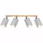 Lámpa DAFNE AS-DAE144BR LS4,2