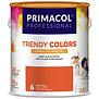 Festék Trendy Colors narancs 2,5l