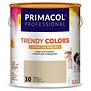 Festék Trendy Colors kávé 2,5l