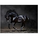 Canvas Silver1 85X113X2,8 EX511 Black Horse