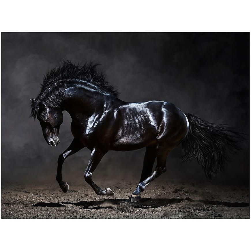 Canvas Silver1 85X113X2,8 EX511 Black Horse