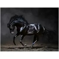 Kép Canvas Silver1 85X113X2,8 EX511 Black Horse