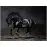 Kép Canvas Silver1 85X113X2,8 EX511 Black Horse