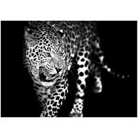 Glasspik Animals 70x100 GL106 Leopard