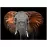 Glasspik Animals3 70x100 SG GL249 Red Elephant