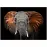 Kép Glasspik Animals3 70x100 SG GL249 Red Elephant