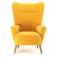 Fotel Next Fancy 48