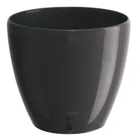 antracit