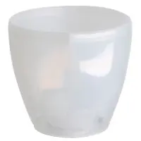 átlátszó