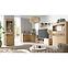 Vitrin N-4 1D Ribbeck,7