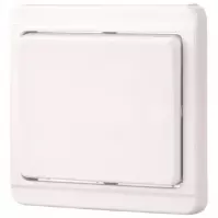 Lépcső kapcsoló TESLA white 26061