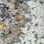 Szőnyeg Frisee Diamond  0,8/1,5  24068  675  Sg  0031  1,5