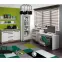 Íróasztal Blanco 11 havasi fenyő/new grey,4