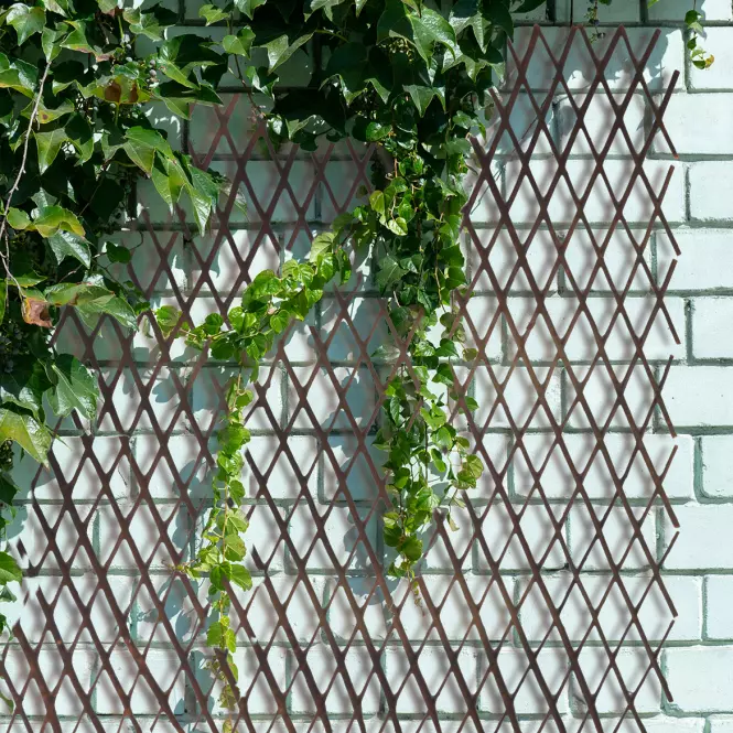 Kihúzható fonott rács JLY-10Q007 90x180 cm,2