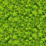 Üveg panel 60/60 Evergreen-1 Esg