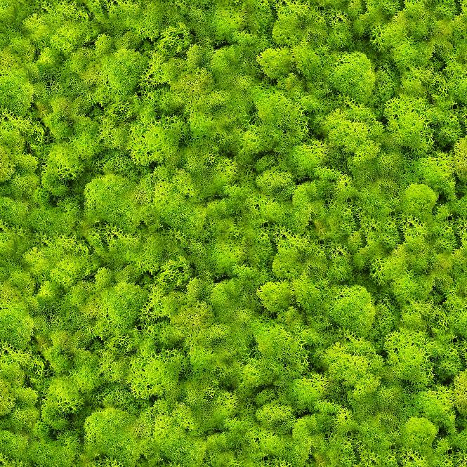 Üveg panel 60/60 Evergreen-1 Esg