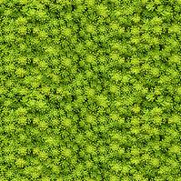 Üveg panel 60/60 Evergreen-2 Esg