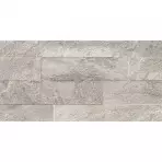 Csempe Gres Ardesia Silver 31/62