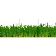 Üveg panel 60/180 Grass 3-Elem