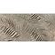 Csempe Palm Bronze 60/120,2