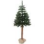 Karácsonyfa lucfenyő a tuskón 190 cm