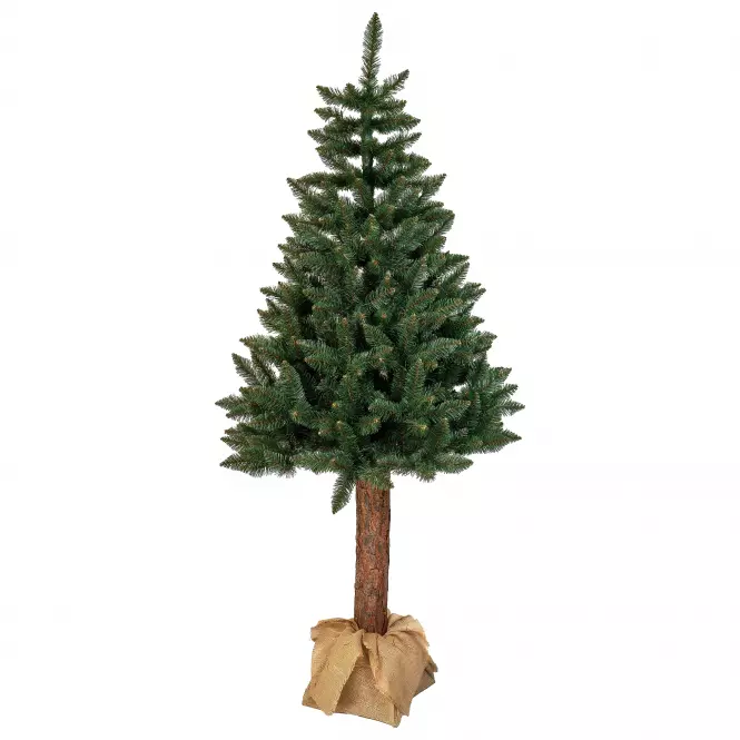 Karácsonyfa lucfenyő a tuskón 190 cm