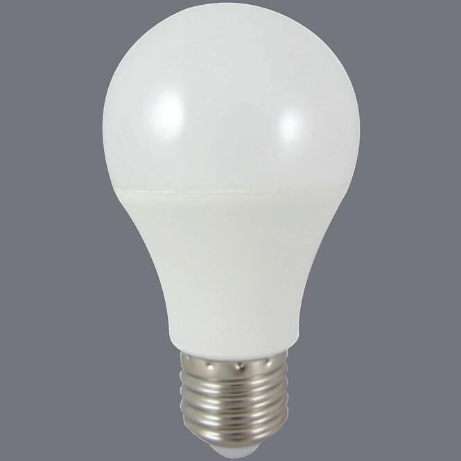 Izzó LED EM 18W A65 E27 6500K