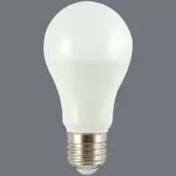 Izzó QTEC 11W LED E27 4200K A60