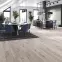 Laminált padló tölgy Goldap 8mm AC5 Trend 52600,2
