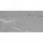 Csempe Tierra Grey 30/60