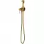 Y rejtett bidé rendszer, arany
