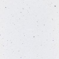 Konyhai munkalap 1mb/38mm 120cm white andromeda