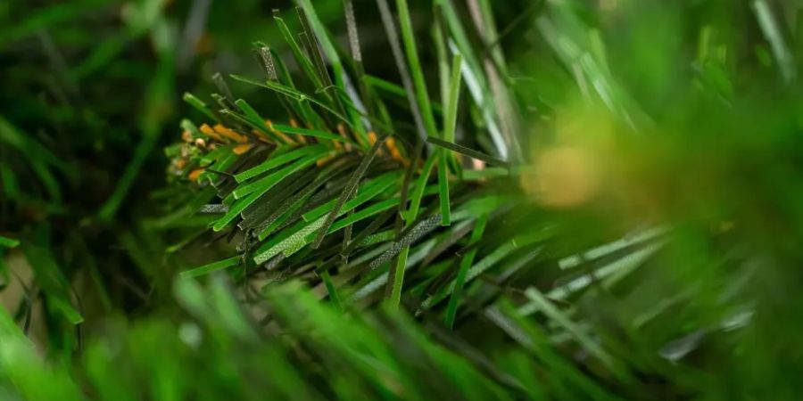 Karácsonyi dekoráció