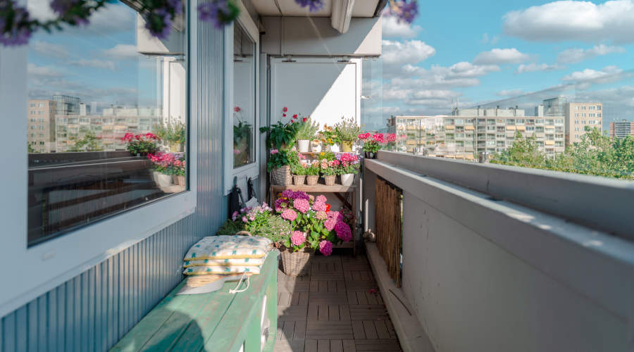 Egész évben használható növények erkélyre és teraszra - tegye az erkélyt egész évben gyönyörűvé!