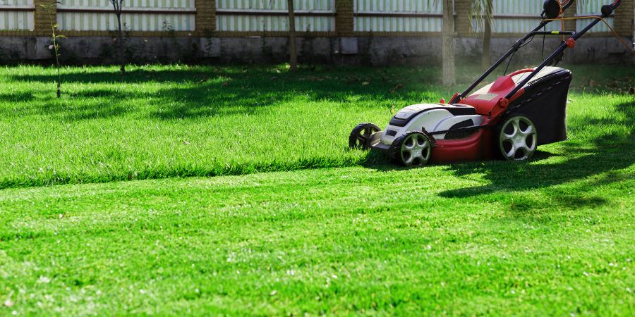 Benzinmotoros fűnyíró vs. zsinórnyíró - mit válasszunk?